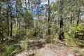 Property photo of 301 Glen Innes Road North Arm Cove NSW 2324