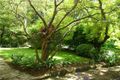 Property photo of 3 Tasman Crescent Killara NSW 2071