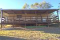Property photo of 858 Wild Pig Creek Road Undullah QLD 4285