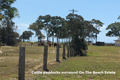 Property photo of 1 Jubata Court Burrum Heads QLD 4659