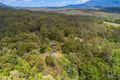 Property photo of 665 Byrrill Creek Road Byrrill Creek NSW 2484