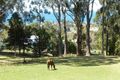 Property photo of 55 Princes Highway Thirroul NSW 2515