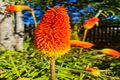 Property photo of 1/373 Obi Obi Road Mapleton QLD 4560