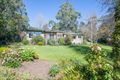 Property photo of 16 Williams Road Don Valley VIC 3139