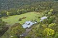 Property photo of 652 Collins Cap Road Collinsvale TAS 7012