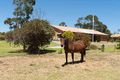 Property photo of 23 Summit Road Nairne SA 5252