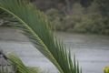 Property photo of 2 Bastille Close Padstow Heights NSW 2211