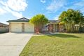 Property photo of 8 Booyong Court Ormeau QLD 4208