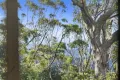 Property photo of 15B Old School Road Springbrook QLD 4213