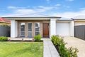 Property photo of 64 Norrie Avenue Clovelly Park SA 5042