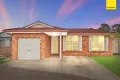 Property photo of 3 Vassallo Place Glendenning NSW 2761