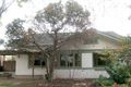 Property photo of 24 North Street Collinswood SA 5081