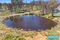 Property photo of 5223 Gundaroo Road Bellmount Forest NSW 2581