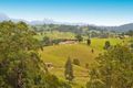 Property photo of 46 Possumwood Close Tyalgum NSW 2484