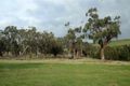 Property photo of 358 Sullivans Road Millbrook VIC 3352