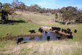 Property photo of 358 Sullivans Road Millbrook VIC 3352