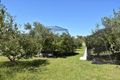 Property photo of 159 Upper Brogo Road Verona NSW 2550