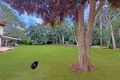 Property photo of 44 Gibson Street Atherton QLD 4883
