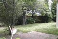 Property photo of 217 Waverley Road Mount Waverley VIC 3149