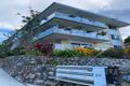 Property photo of 1/34 Dutton Street Hawthorne QLD 4171