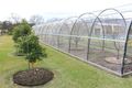 Property photo of 1 Combo Road Gloucester NSW 2422