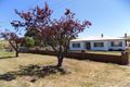 Property photo of 14 Tarleton Street Hamilton TAS 7140