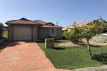 Property photo of 8 Jules Square Currimundi QLD 4551