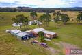 Property photo of 1026 Willi Willi Road Temagog NSW 2440
