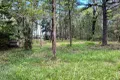 Property photo of 14 Hawthornden Drive Russell Island QLD 4184