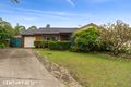 Property photo of 3 Ray Place Minto NSW 2566