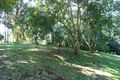 Property photo of 37 North Street Tamborine Mountain QLD 4272