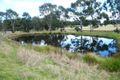 Property photo of 48 Kareela Road Invergowrie NSW 2350