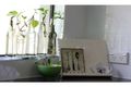 Property photo of 25 Willoughby Close Redlynch QLD 4870