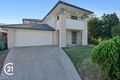 Property photo of 11 Pavonia Street Everton Hills QLD 4053