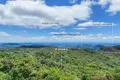 Property photo of 263 Repeater Station Road Springbrook QLD 4213
