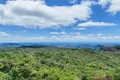 Property photo of 263 Repeater Station Road Springbrook QLD 4213