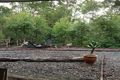 Property photo of 108 Airlie Road Pullenvale QLD 4069