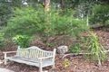 Property photo of 108 Airlie Road Pullenvale QLD 4069