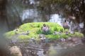 Property photo of 1135 Norton Road Wamboin NSW 2620