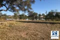 Property photo of 1-11 Old Kildonan Road Goondiwindi QLD 4390