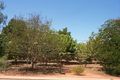 Property photo of 3/12 Glenister Loop Cable Beach WA 6726