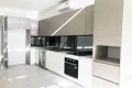 Property photo of 33 Hamel Road Mount Pritchard NSW 2170