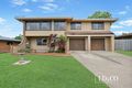 Property photo of 19 Les Cameron Avenue Mount Pleasant QLD 4740