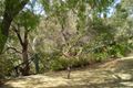 Property photo of 7/2 Neale Street Tea Tree Gully SA 5091
