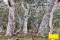 Property photo of 250 The Forest Road Bywong NSW 2621