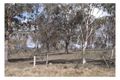 Property photo of 358 Eukey Road Storm King QLD 4380