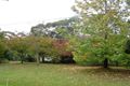 Property photo of 11 Stanley Avenue Kurrajong Heights NSW 2758