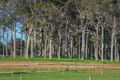 Property photo of 10 Sawmill Loop Karridale WA 6288