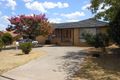 Property photo of 70 Blackett Avenue Young NSW 2594