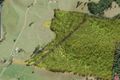 Property photo of 180 Kennaicle Creek Road Missabotti NSW 2449